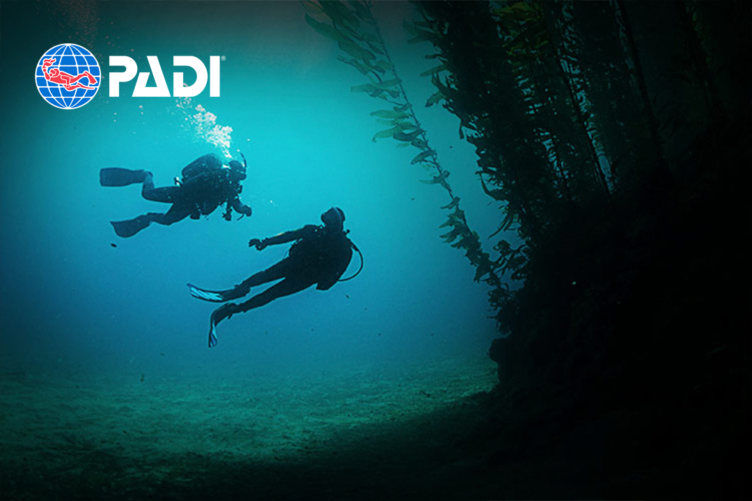 PADI Deep Diver